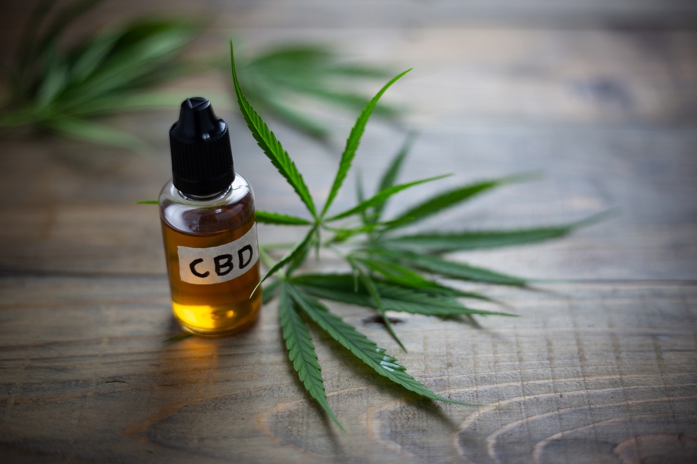 Which Companies Make the Best CBD for Dogs?